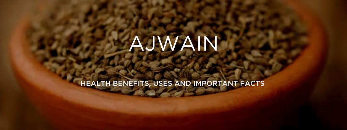 Ajwain (carom seeds):  Benefits, Side Effects, and Uses - gitaayurvedic.com