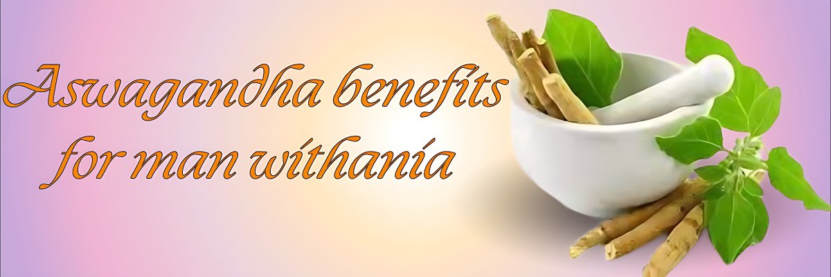 aswagandha benefits for man withania - gitaayurvedic.com