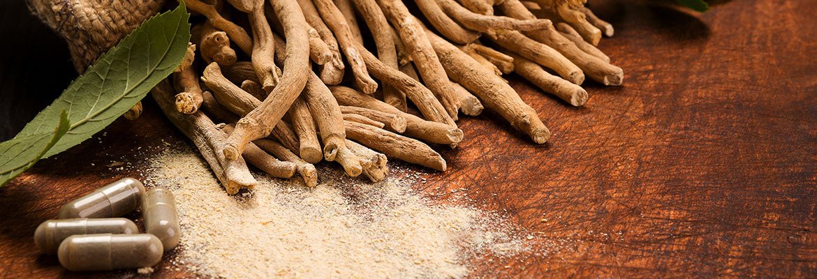 Discover the Wonderful Benefits of Ashwagandha - gitaayurvedic.com