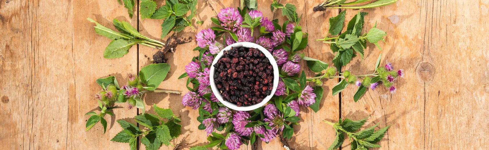 Blood purifier in natural and herbal way - gitaayurvedic.com