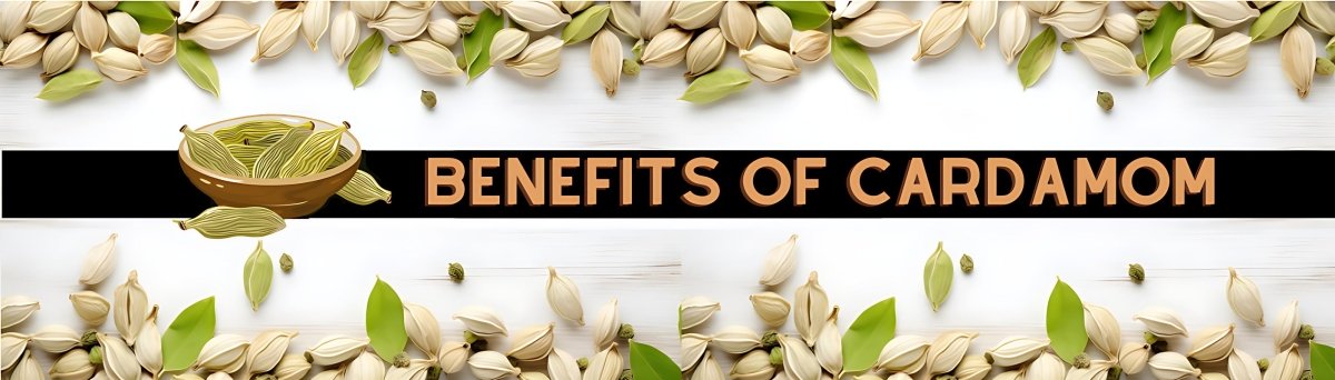 Guide to Cardamom(Elaichi): Benefits, Side Effects, Uses - gitaayurvedic.com