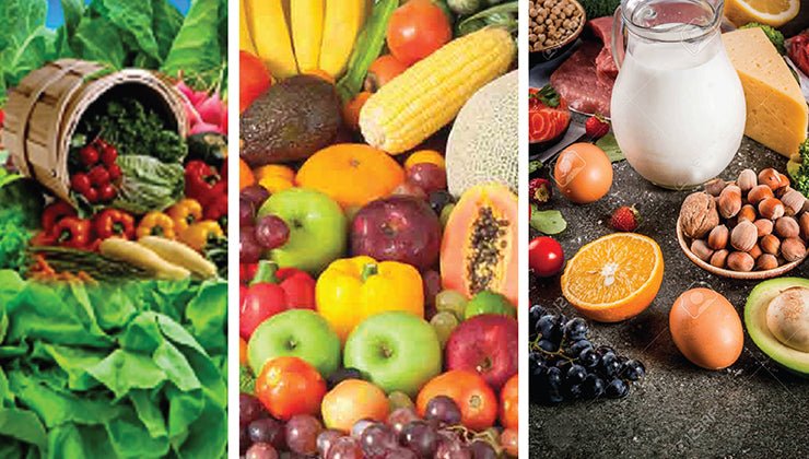 The Role of Nutrition in Chronic Disease