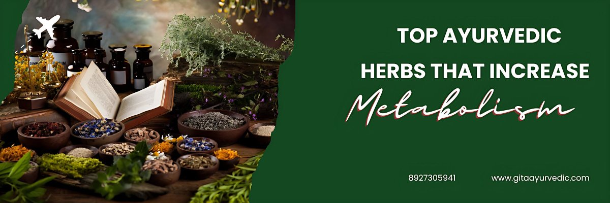 Top Ayurvedic Herbs That Increase Metabolism - gitaayurvedic.com