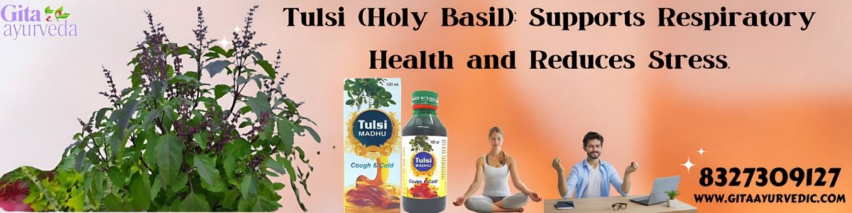 Tulsi (Holy Basil): Supports respiratory health and reduces stress. - gitaayurvedic.com