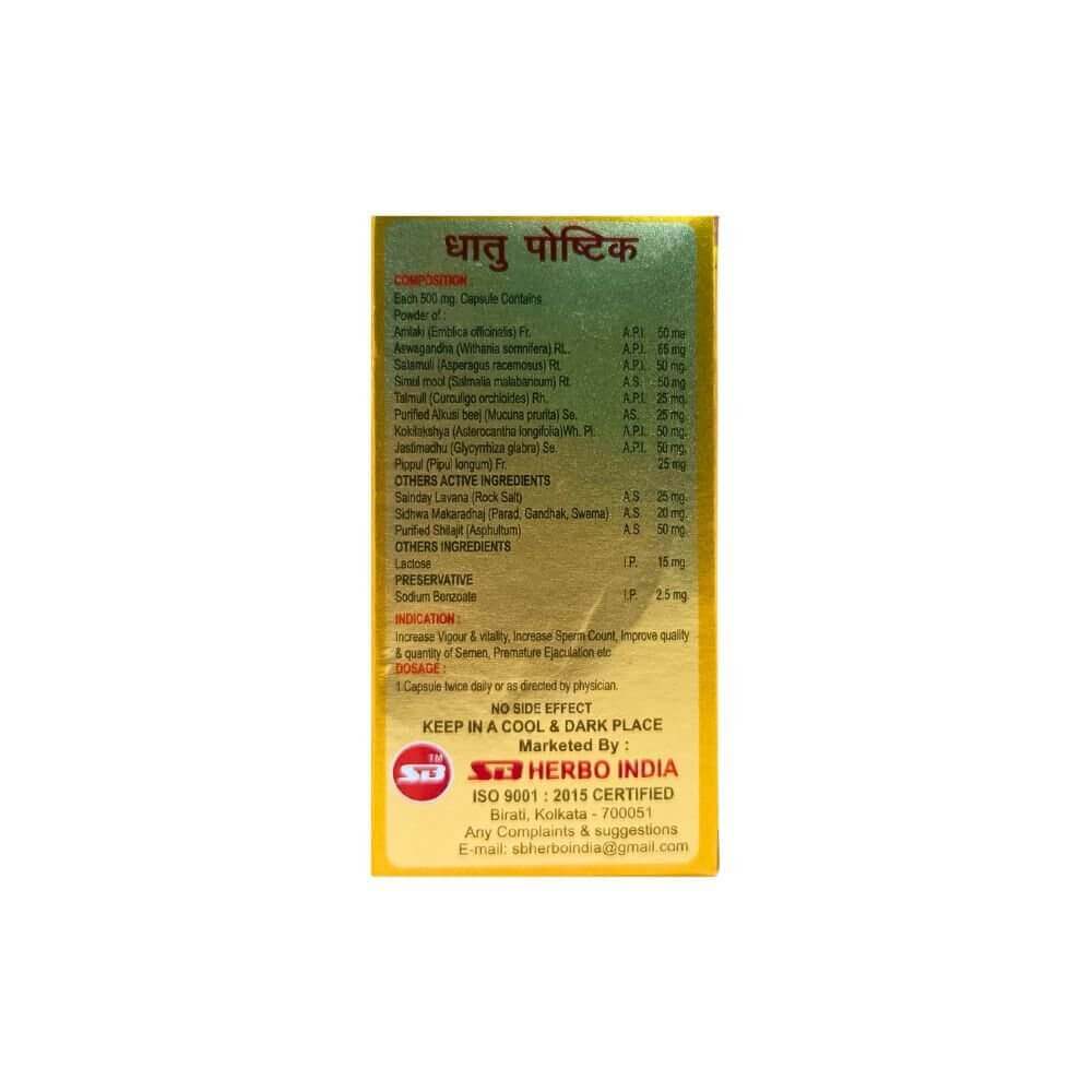 Ayurvedic Enhances Stamina Capsules- Boost Vigour Naturally (Pack of 2)