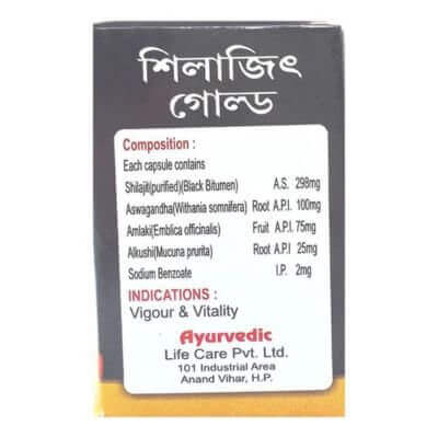 Shilajeet Capsule - Natural Ayurvedic Supplement (40 Capsules)