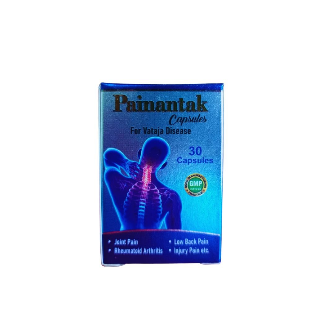 Gita Ayurvedic Painantak 30 Capsules for Painkillers (pack of 2)