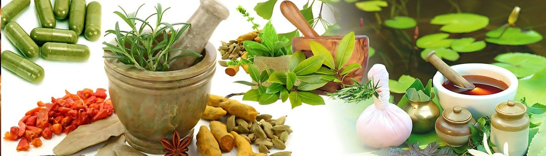 25+ Ayurvedic & Medicinal Plants with Uses for Natural Wellness - GITA