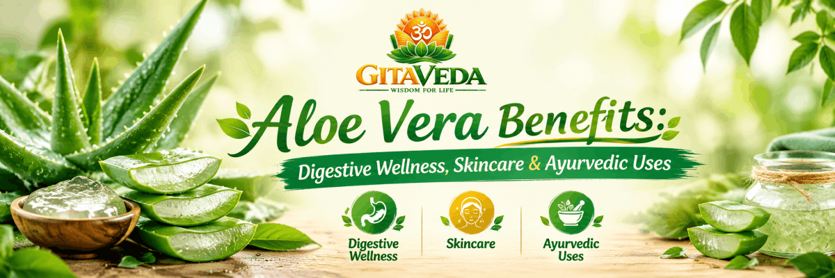 Aloe Vera Benefits: Digestive Wellness, Skincare & Ayurvedic Uses - gitaayurvedic.com