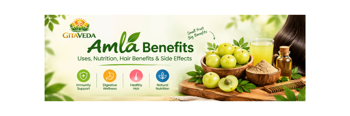 Amla Benefits: Uses, Nutrition, Hair Benefits & Side Effects - gitaayurvedic.com