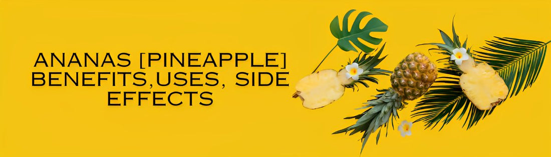 Ananas [Pineapple] Benefits, Uses, Side Effects - GITA