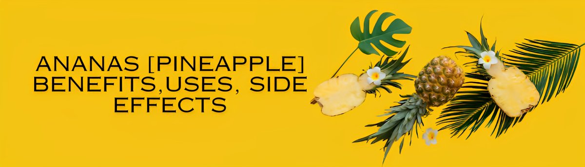 Ananas [Pineapple] Benefits, Uses, Side Effects - gitaayurvedic.com