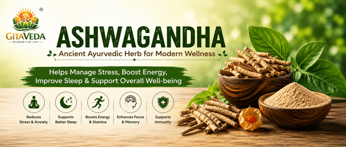 Ashwagandha Benefits for Stress, Sleep & Wellness - gitaayurvedic.com
