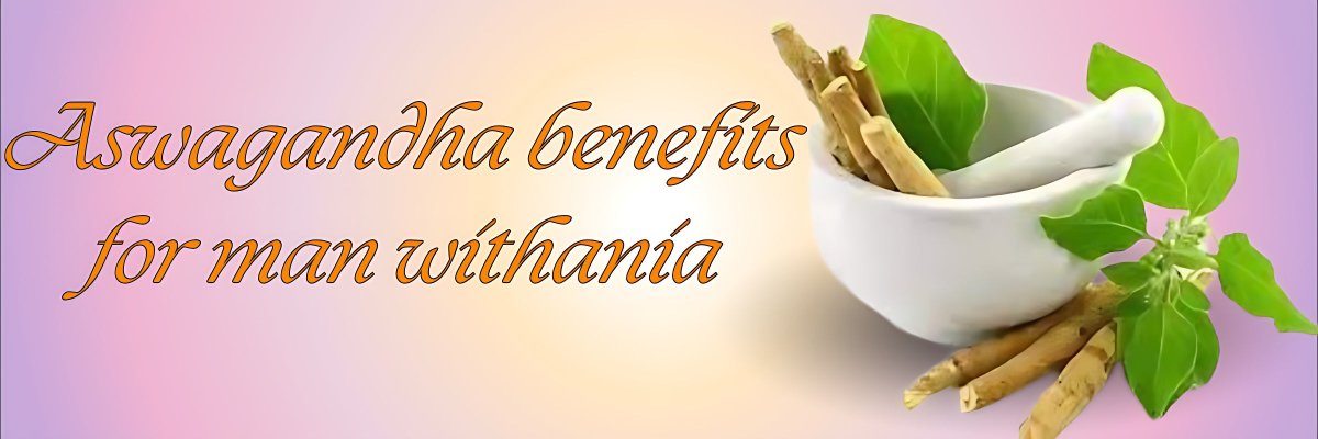 aswagandha benefits for man withania - Online Ayurveda store| Buy ayurveda medicine & Ayurvedic product online at low price