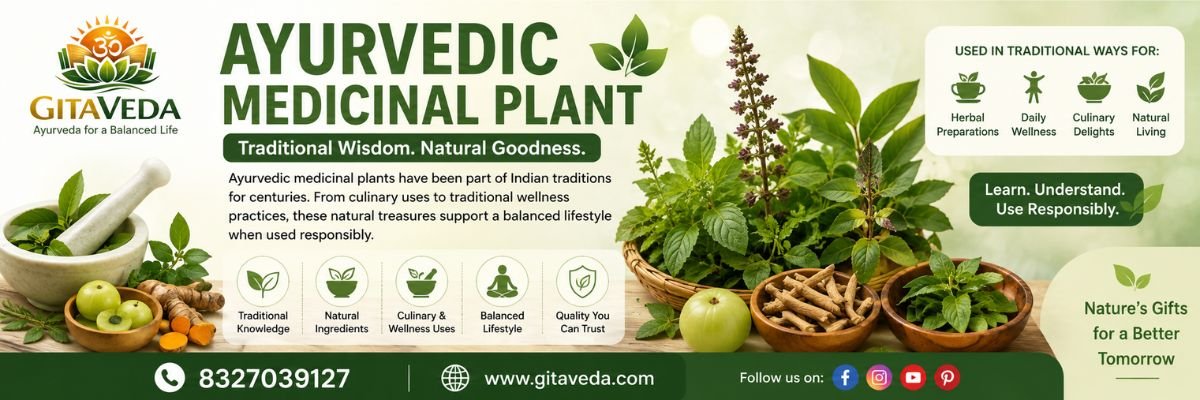 Ayurvedic Medicinal Plant: Popular Herbs, Uses & Wellness Guide - gitaayurvedic.com