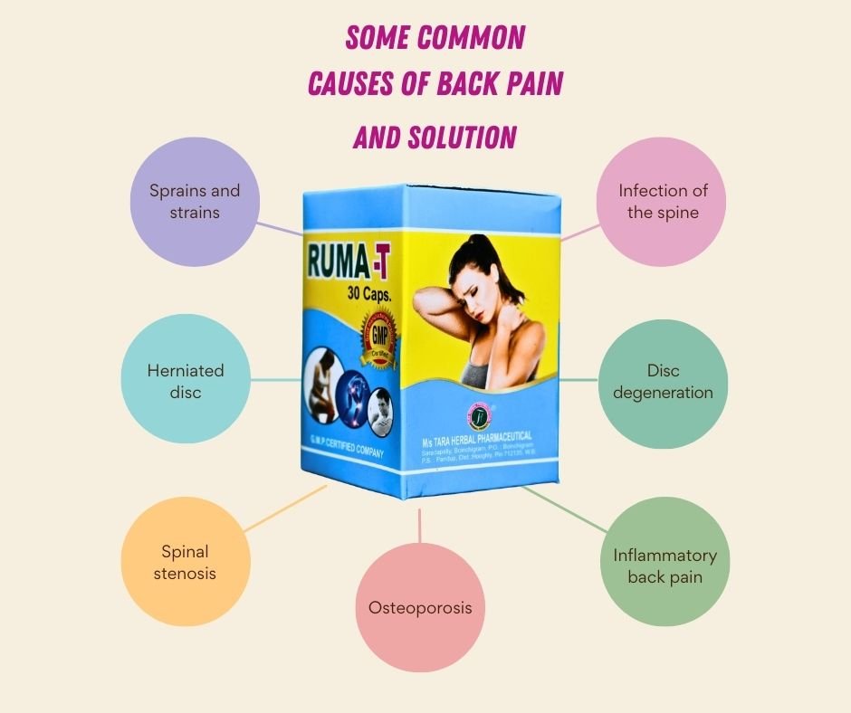 Back Problem Solutions Product Some Common Causes of Back Pain & solution – gitaayurvedic.com