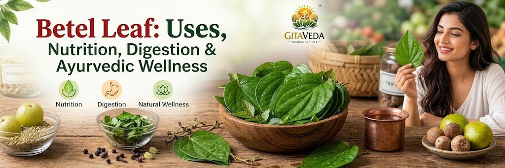 Betel Leaf: Uses, Nutrition, Digestion & Ayurvedic Wellness - gitaayurvedic.com