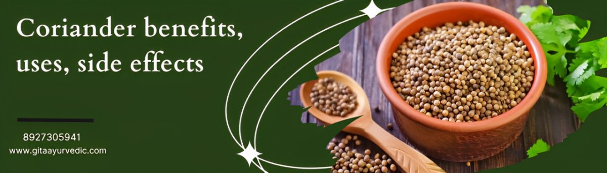 Coriander benefits, uses, side effects - gitaayurvedic.com