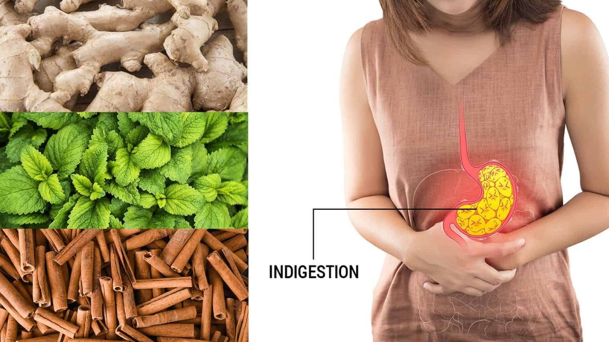 Fast Indigestion Relief: Top Remedies to Cure Dyspepsia Quickly - gitaayurvedic.com