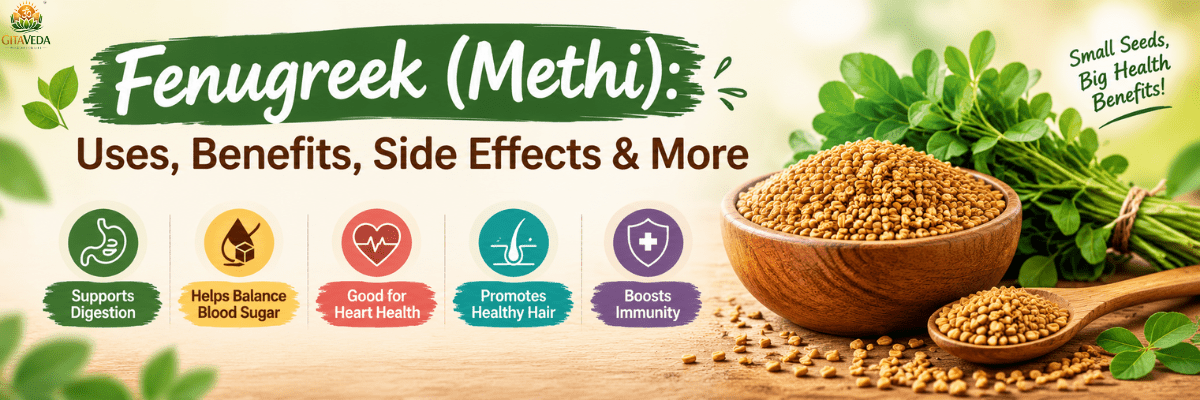 Fenugreek (Methi): Uses, benefits, side effects & more! - gitaayurvedic.com