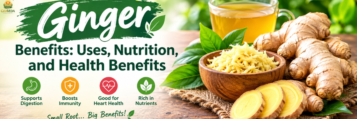 Ginger Benefits: Uses, Nutrition, and Health Benefits