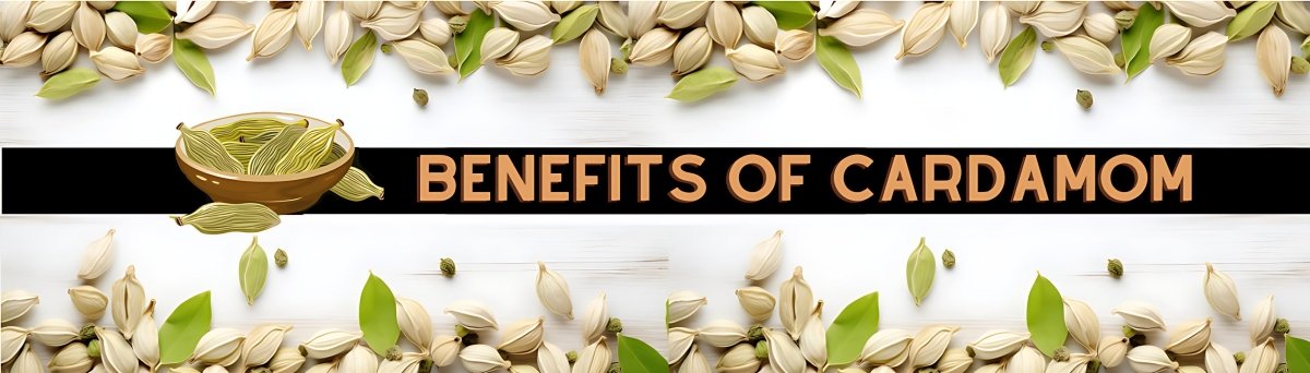 Guide to Cardamom(Elaichi): Benefits, Side Effects, Uses - Online Ayurveda store| Buy ayurveda medicine & Ayurvedic product online at low price