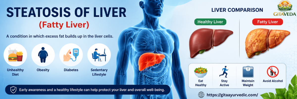 Steatosis of the Liver