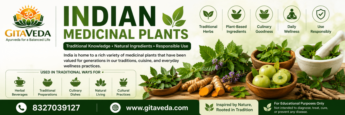 Indian Medicinal Plants: Popular Herbs, Traditional Uses & Guide - gitaayurvedic.com