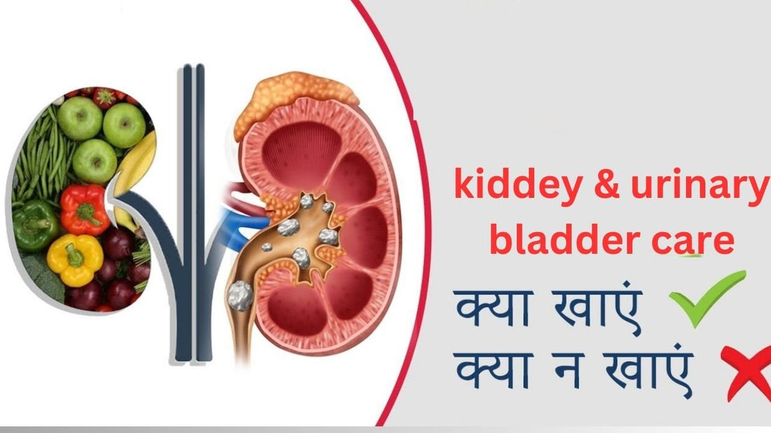 Kidney and Urinary Bladder Ayurveda care - GITA
