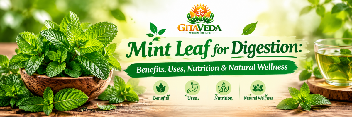 Mint Leaf for Digestion: Benefits, Uses, Nutrition & Natural Wellness - gitaayurvedic.com