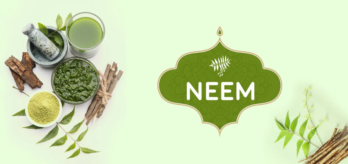 Neem- Uses, Benefits, Side Effects,