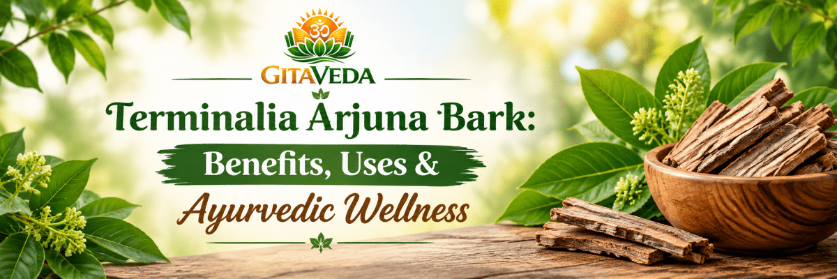 Terminalia Arjuna Bark: Benefits, Uses & Ayurvedic Wellness