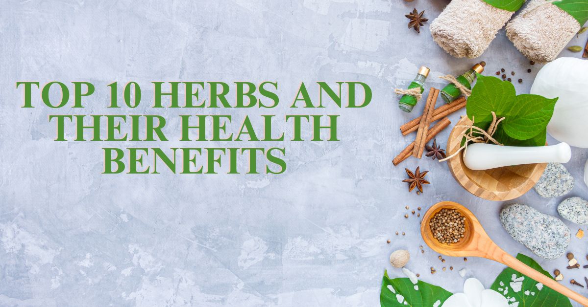 Top 10 Herbs and their Health Benefits