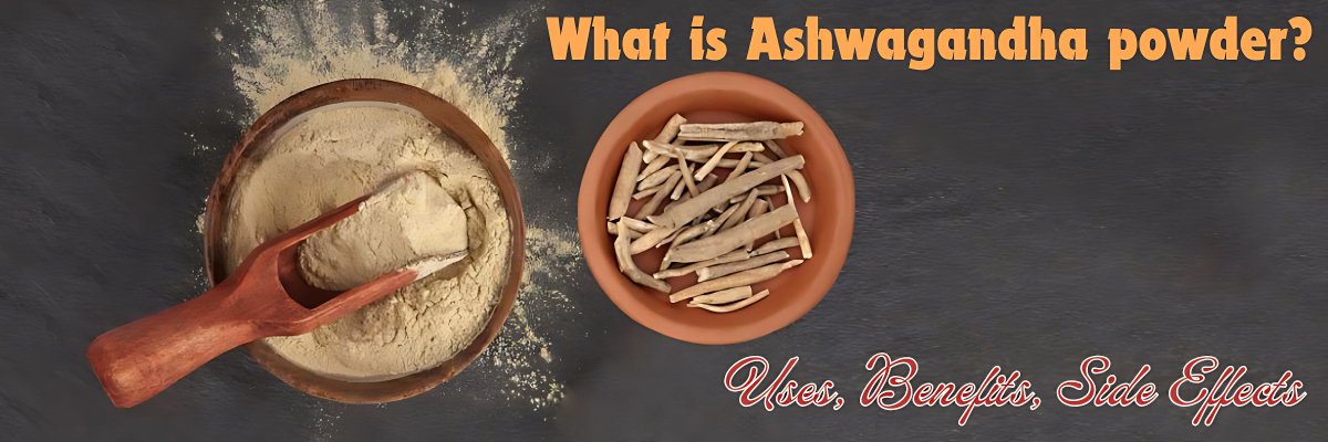 What is Ashwagandha powder? Uses, benefits, side effects - gitaayurvedic.com