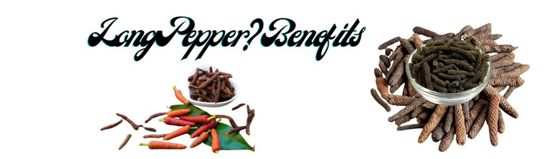 What is Pippali [Long Pepper]? Benefits, Uses, Side Effects - GITA