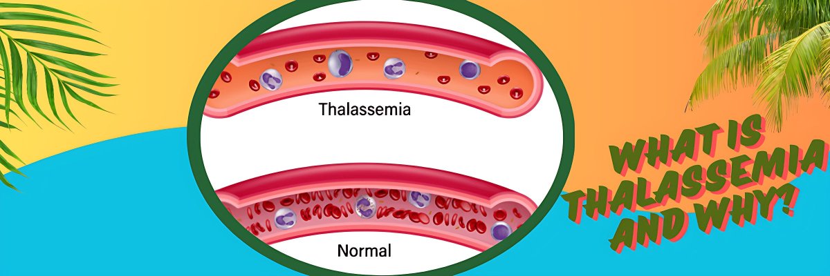 What is thalassemia and why? - gitaayurvedic.com