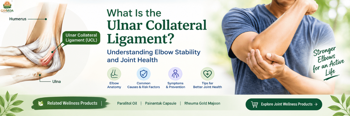 Ulnar Collateral Ligament? Understanding Elbow Stability