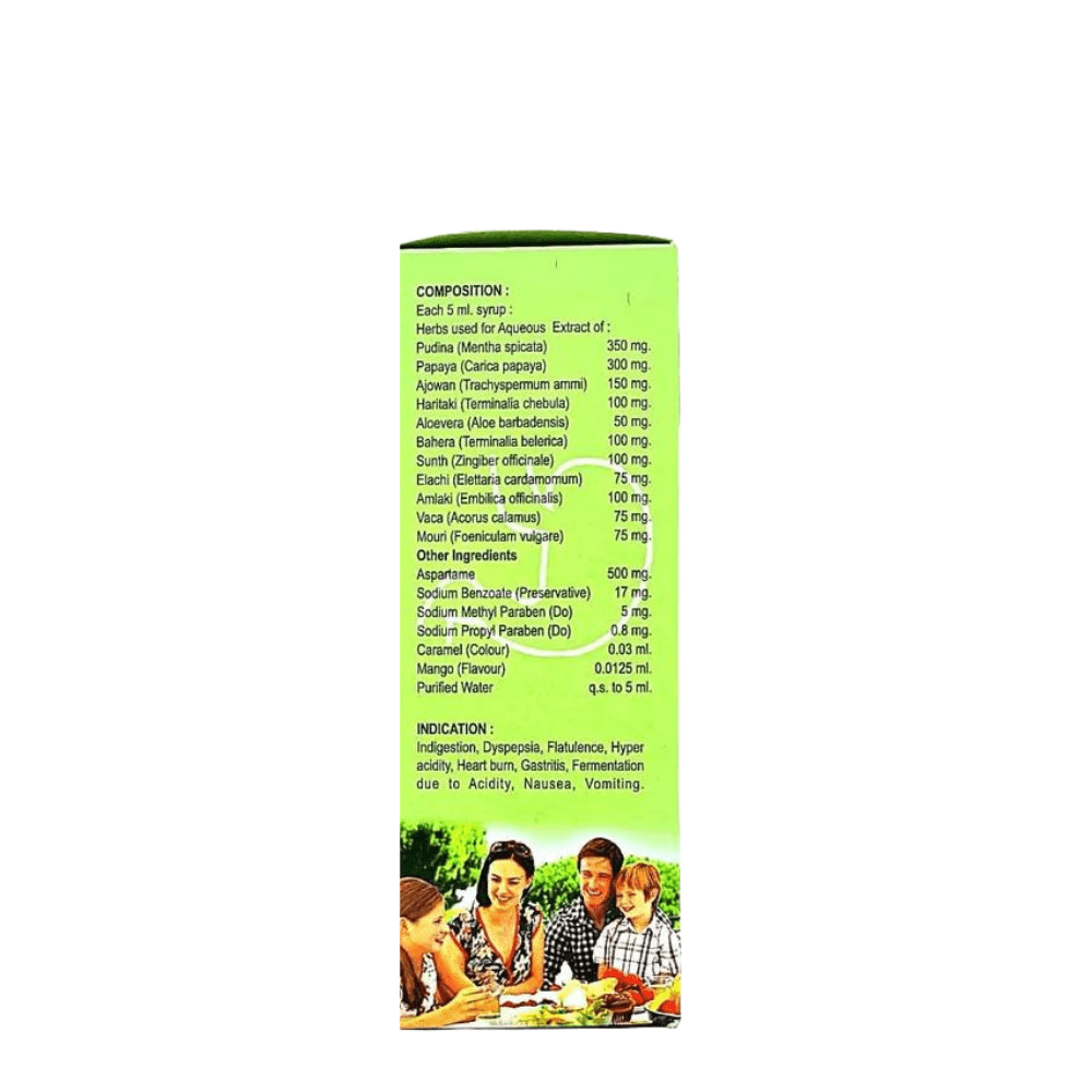 Ayurvedic Pudina Active Syrup 200ml. ( pack of 4)