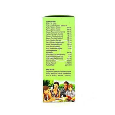 Ayurvedic Pudina Active Syrup 200ml(pack of 3)