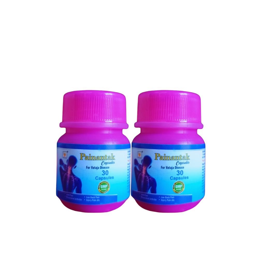 Gita Ayurvedic Painantak 30 Capsules for Painkillers (pack of 2)