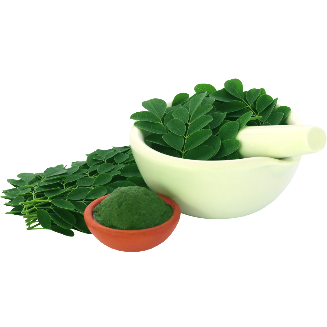 gitaayurvedic.com