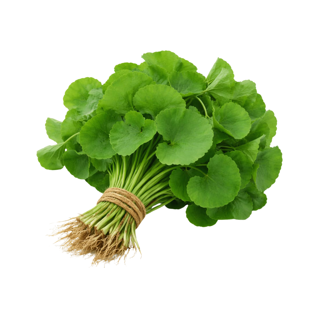 gitaayurvedic.com