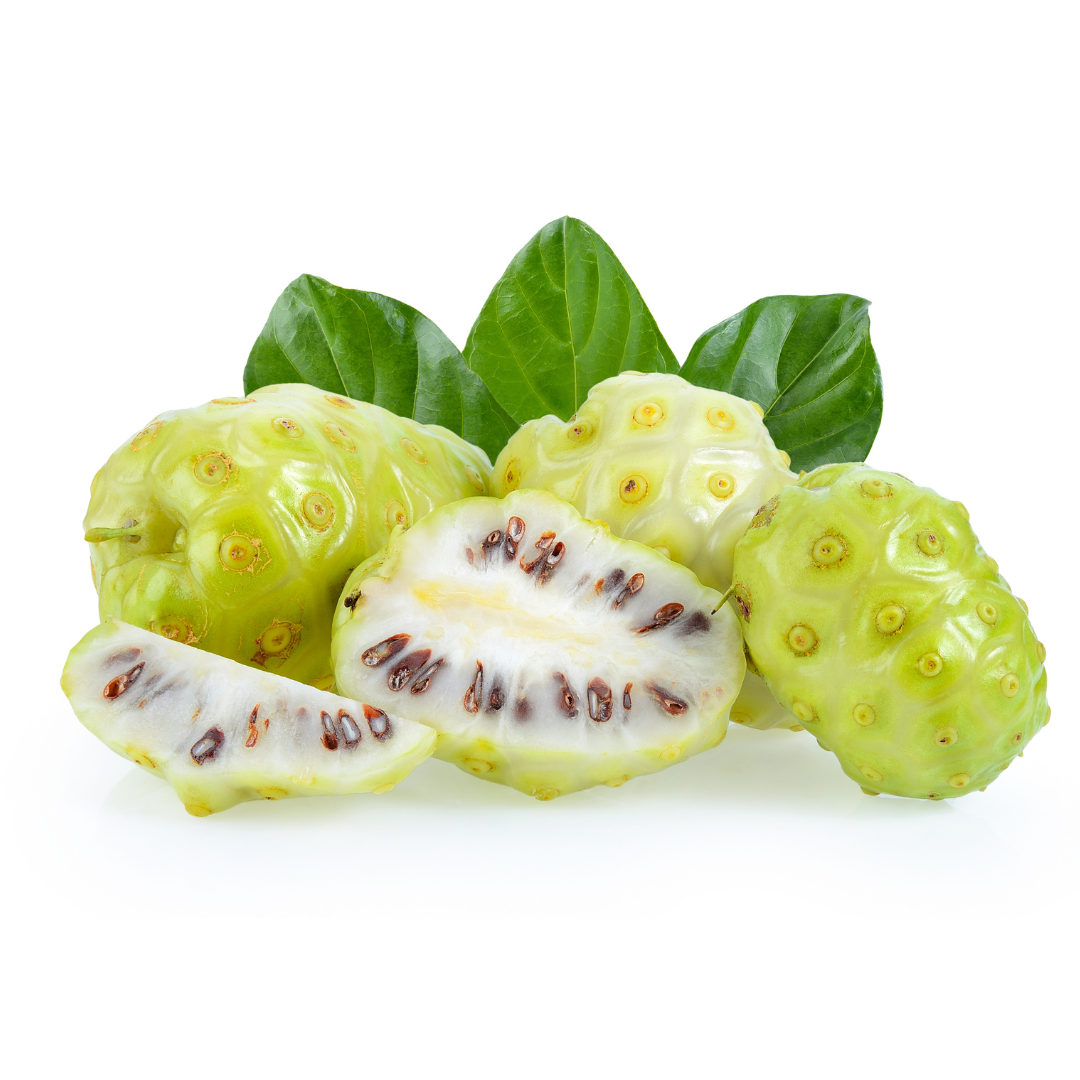 gitaayurvedic.com