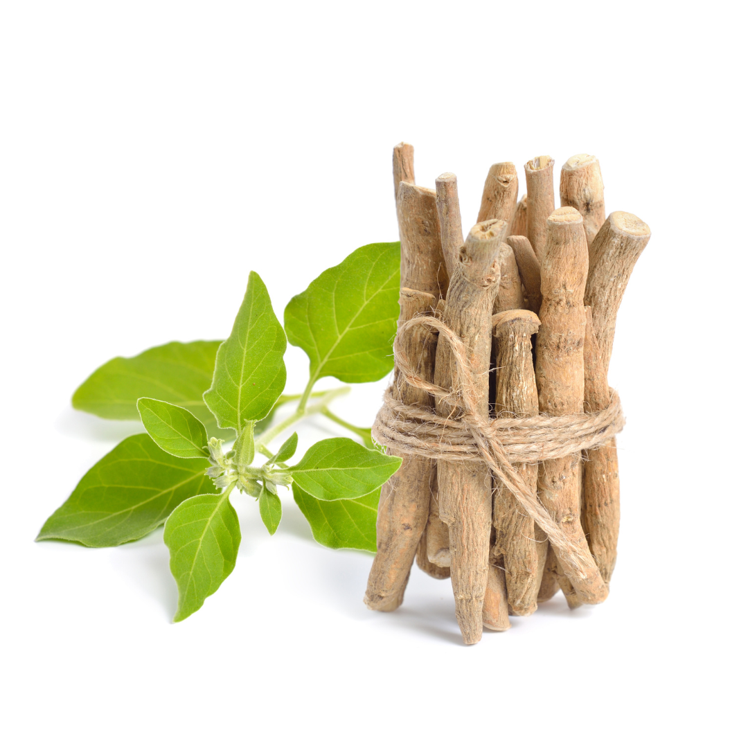 gitaayurvedic.com
