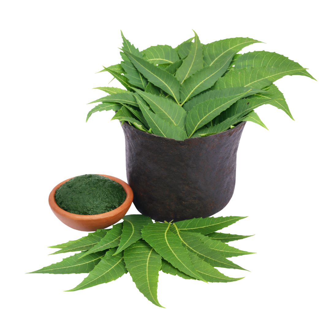 gitaayurvedic.com