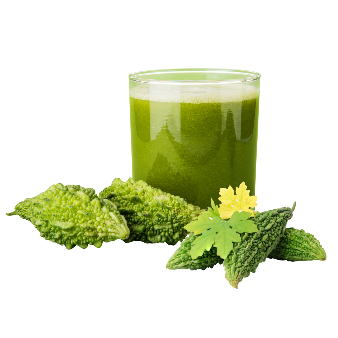 gitaayurvedic.com
