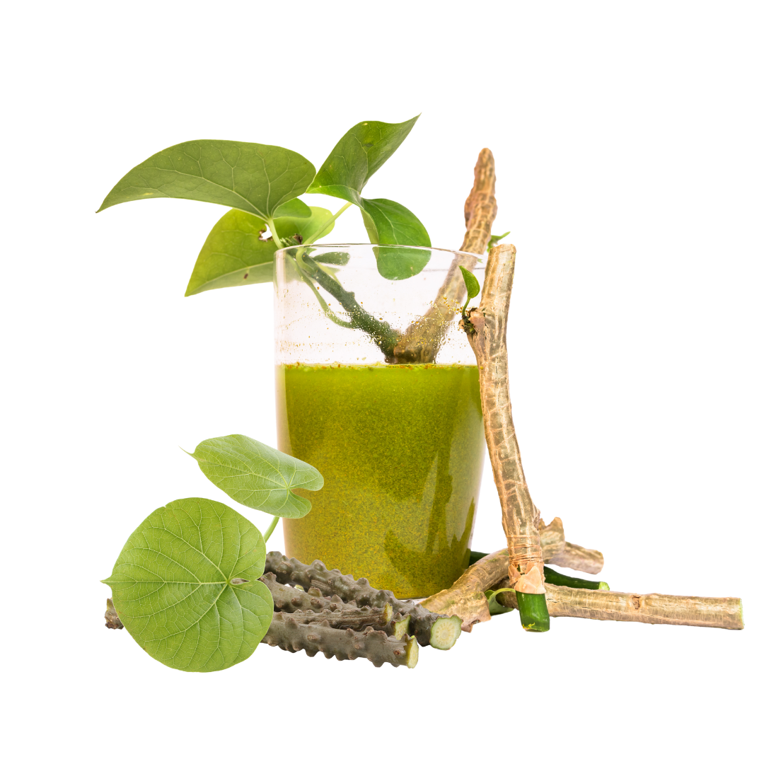 gitaayurvedic.com