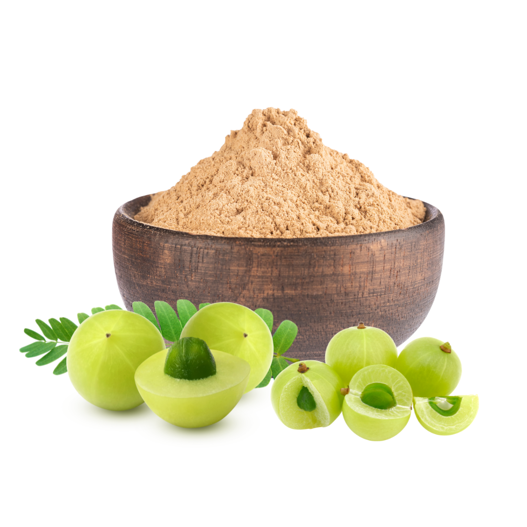 gitaayurvedic.com