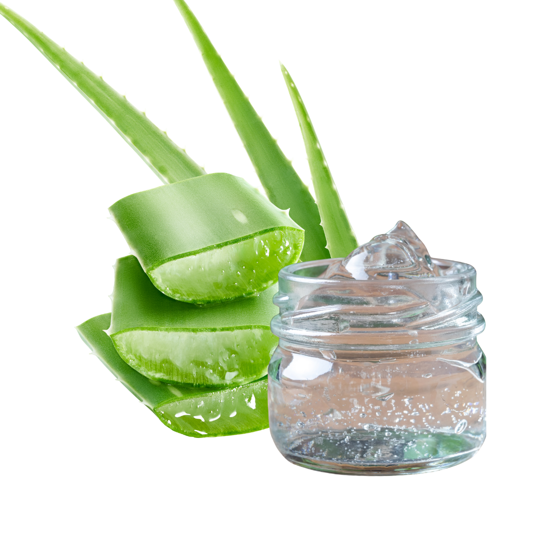 gitaayurvedic.com