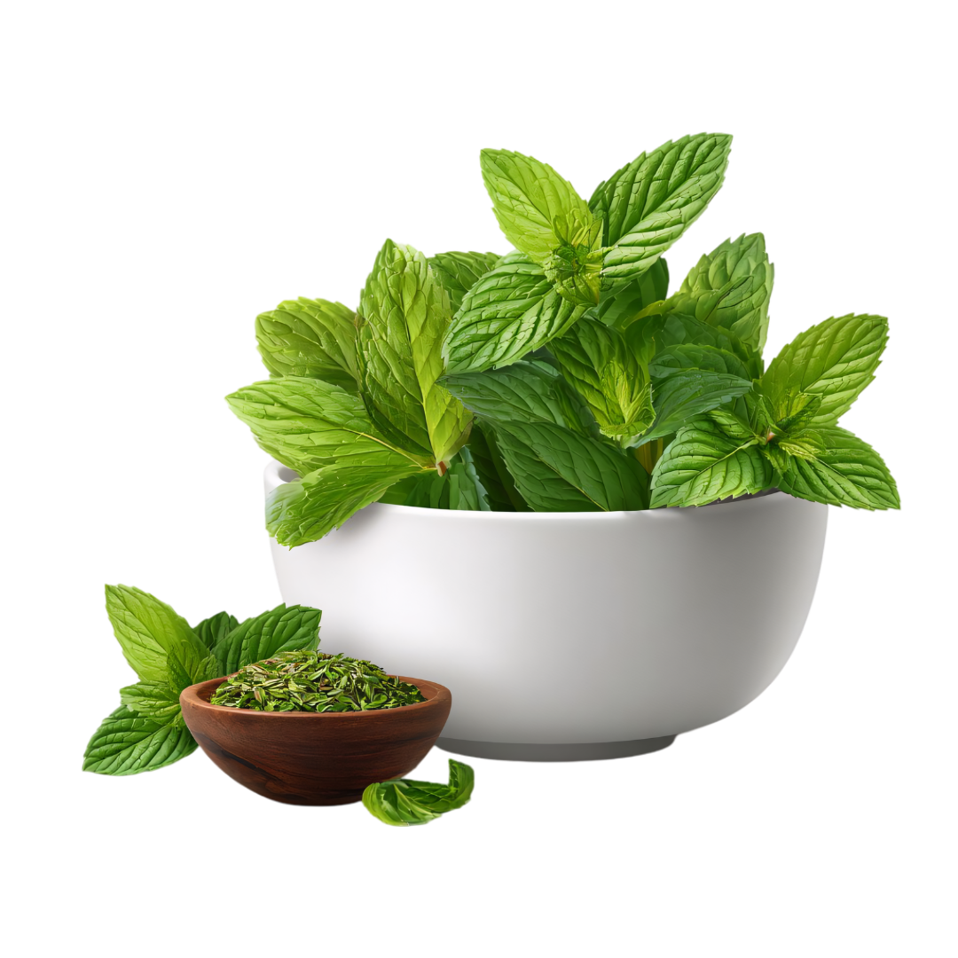 gitaayurvedic.com